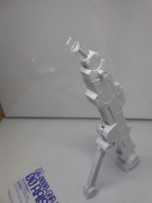 DSCN2421.jpg