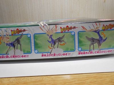 DSCN3388.jpg