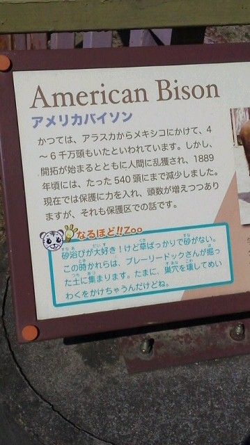 2013042814290001.jpg