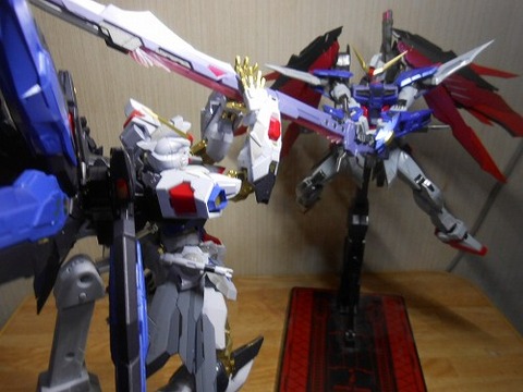 DSCN0515