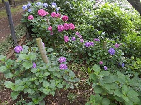 DSCN9815