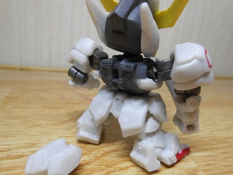 DSCN0765