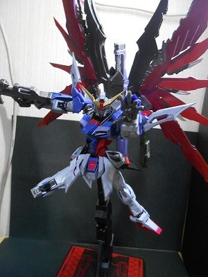 DSCN3579.jpg
