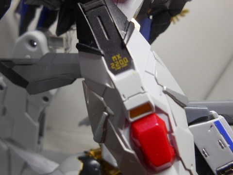 DSCN0520