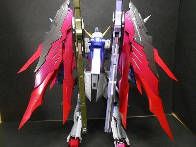 DSCN3576.jpg