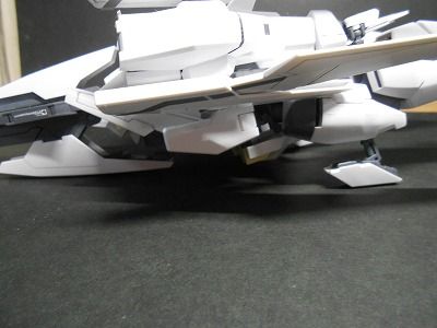 DSCN3174.jpg