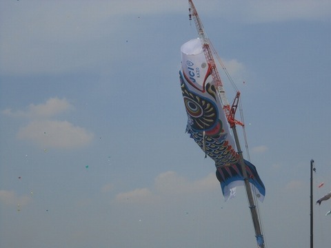 DSCN9400
