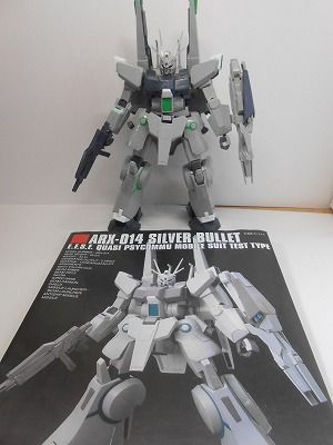 DSCN6008.jpg