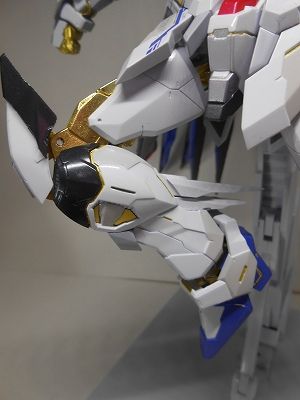 DSCN0462