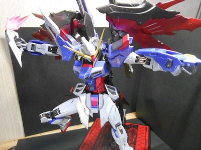 DSCN3610.jpg