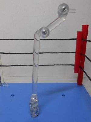 DSCN8676.jpg