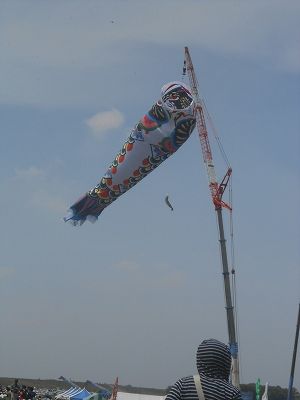 DSCN9403