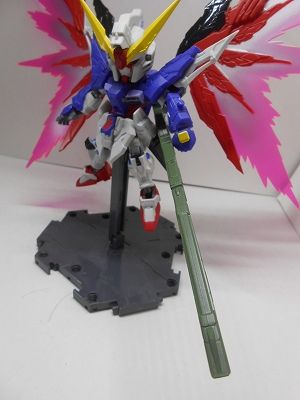 DSCN0011