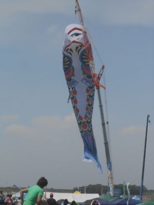 DSCN9397