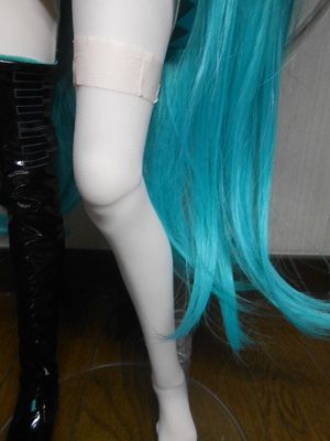 DSCN7751.jpg