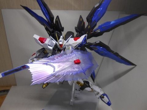 DSCN0429
