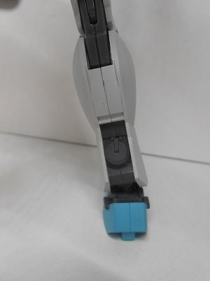 DSCN8604.jpg