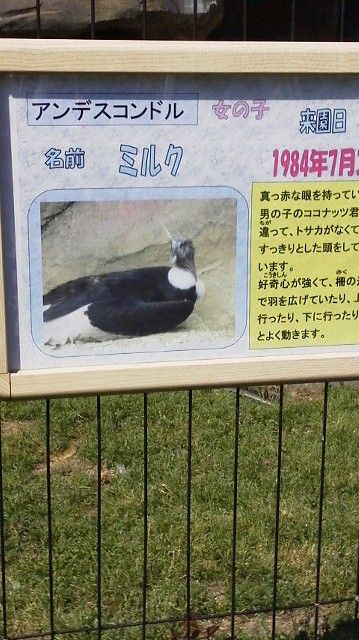 2013042814150003.jpg