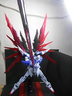 DSCN3649.jpg