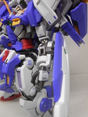 DSCN8553.jpg