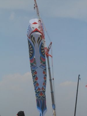 DSCN9395