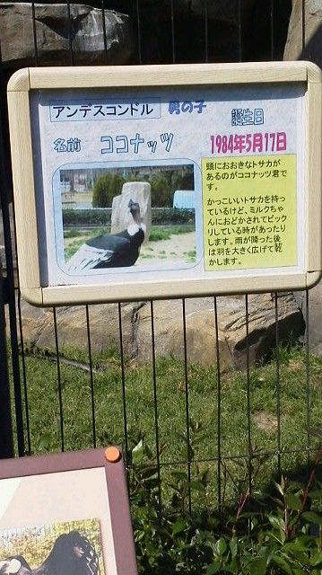 2013042814150002.jpg