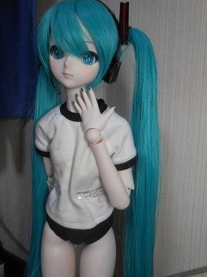 DSCN7805.jpg