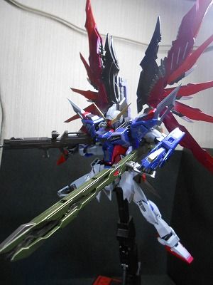DSCN3584.jpg