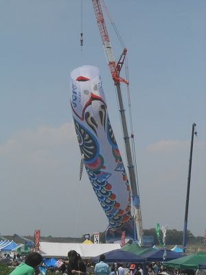 DSCN9394