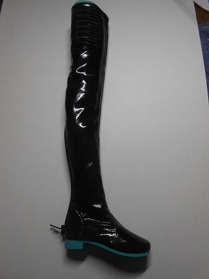 DSCN7774.jpg