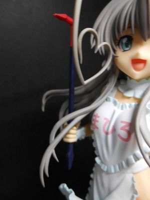 DSCN3491.jpg