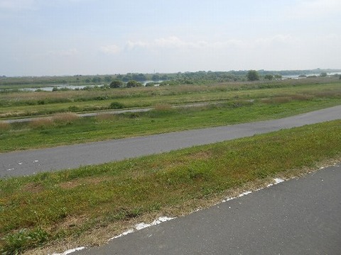 DSCN9377