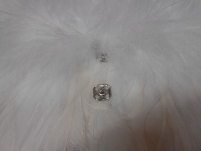 DSCN5035.jpg