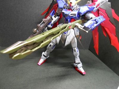 DSCN3581.jpg