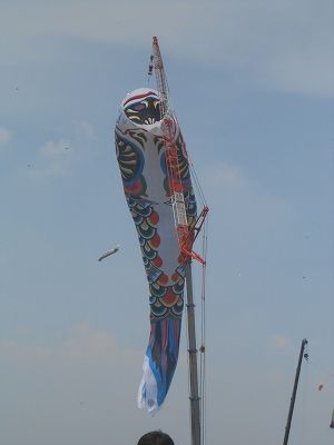 DSCN9401