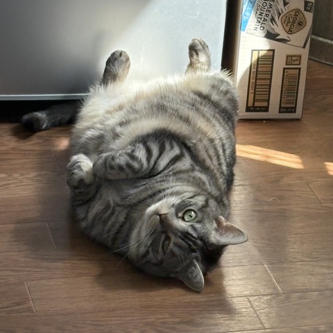 9CA3B61E-4679-4298-B1EC-607FE6127A69