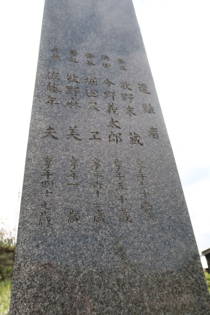 3-▲全10巻 揃い 岩手史叢 昭和48~59年 1973~1984年 郷土史 南部 陸奥 内史畧 内史略 飢饉考 記名・シミ汚れ有り 九州遠征1984-5その5 : 鉄道写真家 岩堀春夫のblog2