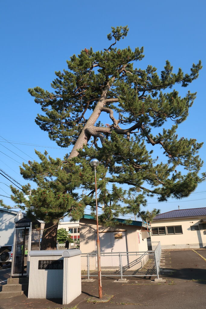 明治天皇駐蹕碑 弘前市小栗山神社 青森県の板碑を見つけに