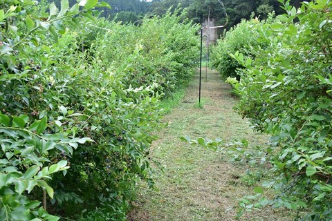 99J_0022_R