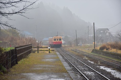 DSC_7230_R