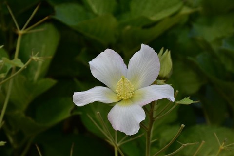 99J_0187_R