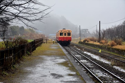 DSC_7228_R