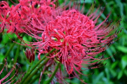 99J_2829_R