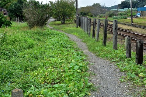 DSC_0512_R