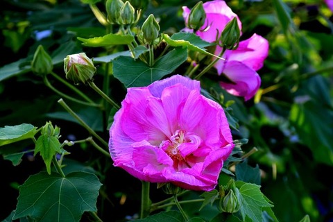 99J_0213_R