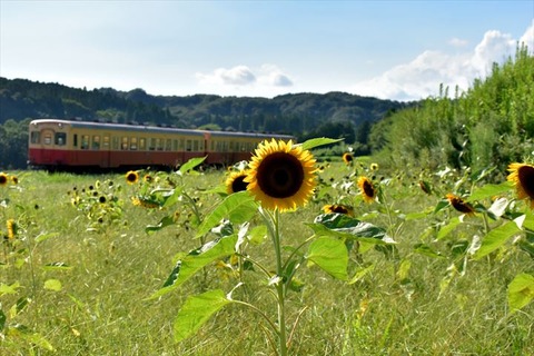 99J_0206_R