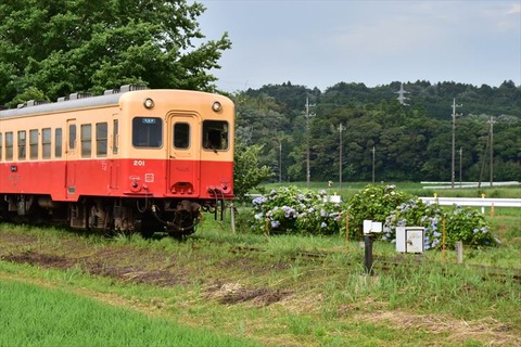 DSC_5437_R