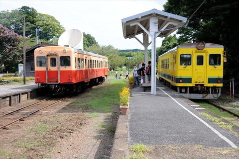 DSC_6522_R