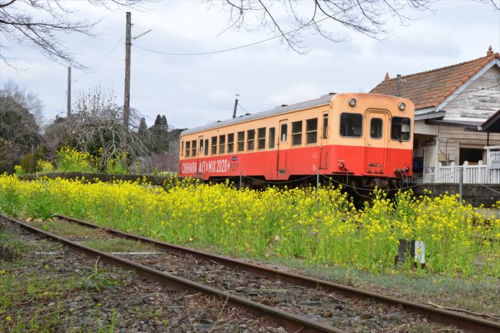 石神の菜の花 養老渓谷駅 大久保駅他ー小湊鉄道沿線ー 飯給 南市原 里山便り 石神の菜の花 養老渓谷駅 大久保駅他ー小湊鉄道沿線ー 飯給 南市原 里山便り