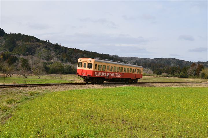 石神の菜の花 養老渓谷駅 大久保駅他ー小湊鉄道沿線ー 飯給 南市原 里山便り 石神の菜の花 養老渓谷駅 大久保駅他ー小湊鉄道沿線ー 飯給 南市原 里山便り